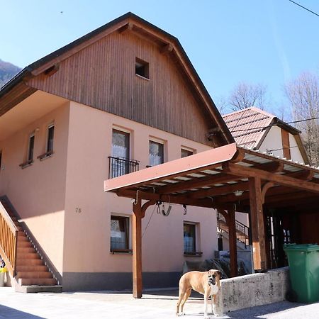 Apartma Na Vasi Apartment Zaga Exterior photo